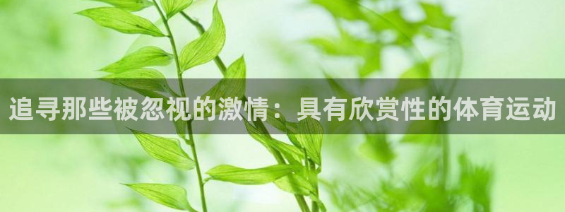 xc体育app官方网站