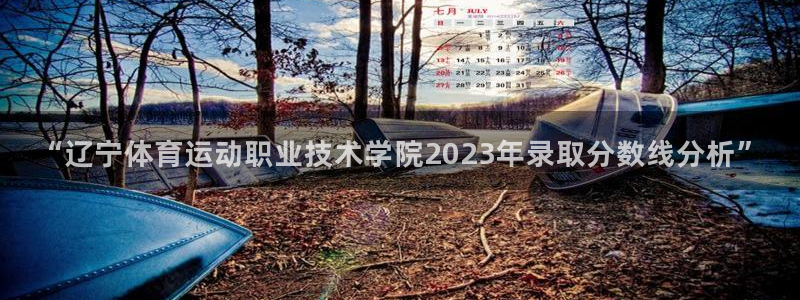 xc体育