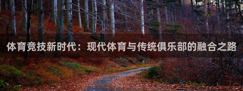 xc体育app官方网站