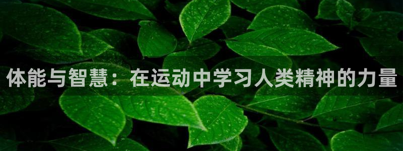 xc体育app官方网站