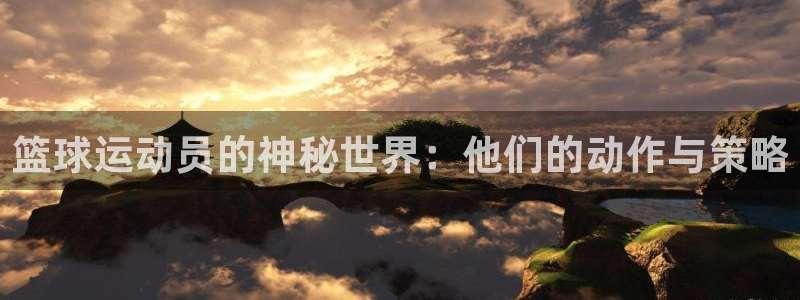 xc体育