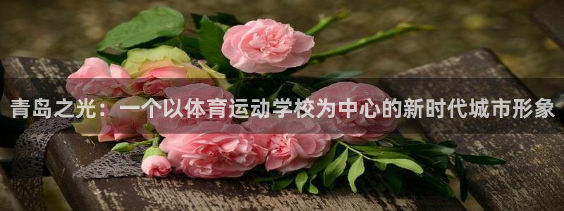 xc体育