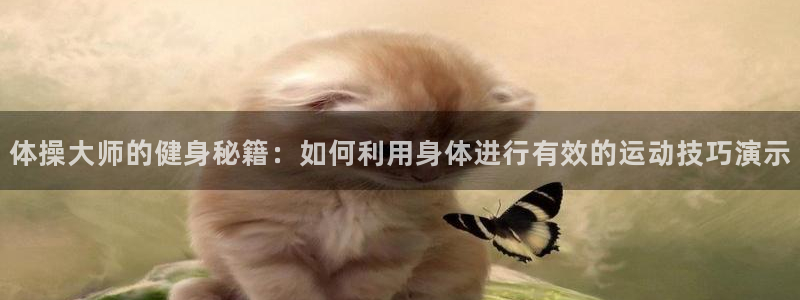 xc体育app官方网站