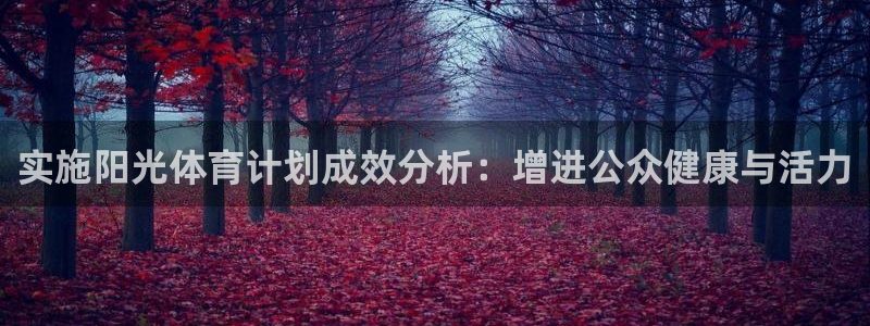 xc体育app官方网站
