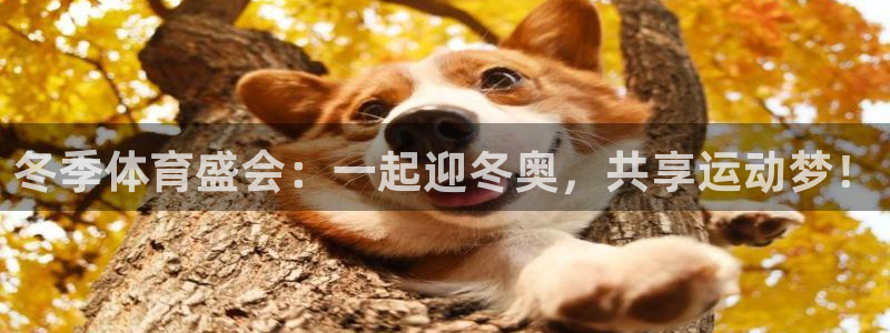 xc体育app官方网站：冬季体育盛会：一起迎冬奥，共享运动梦！